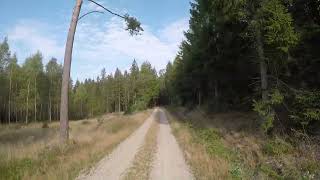 HAGA24 6