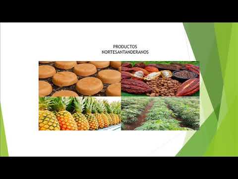 productos santandereanos