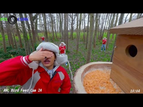 Cutlery - AntsLive (Official Video)