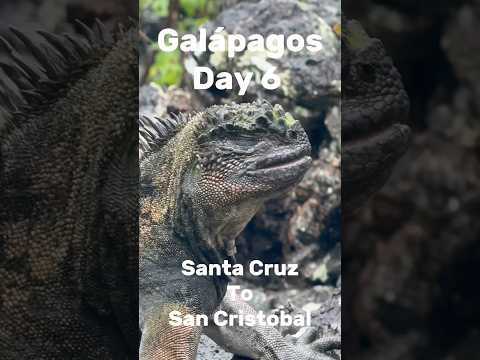 Santa Cruz to San Cristobal ferry in the Galápagos #galapagos #galápagos #ecuador