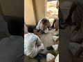 Jail Ke Andar Ki Duniya Viral Jailbreak Jail India Indian