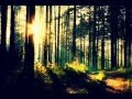 Trolley Wood - Eisley (Lyrics)