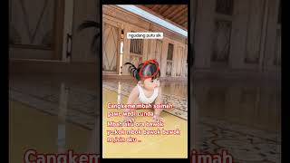 Download lagu cunda di bawok'no Mbah Soimah #soimah mp3 Download lagu cunda di bawok'no Mbah Soimah #soimah mp3
