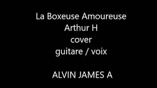 La Boxeuse Amoureuse - Arthur H - Cover Guitare