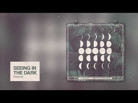 Plantrae - Seeing In The Dark