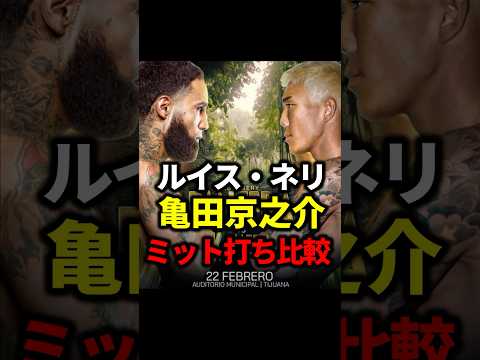 ルイス・ネリと亀田京之介のミット打ち比較【ボクシング】