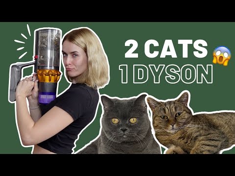 Dyson v15 Review | Worth the price? 🧐