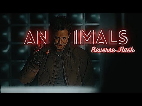 Eobard Thawne | Animals | Collab with @R.A_Pure_Edits