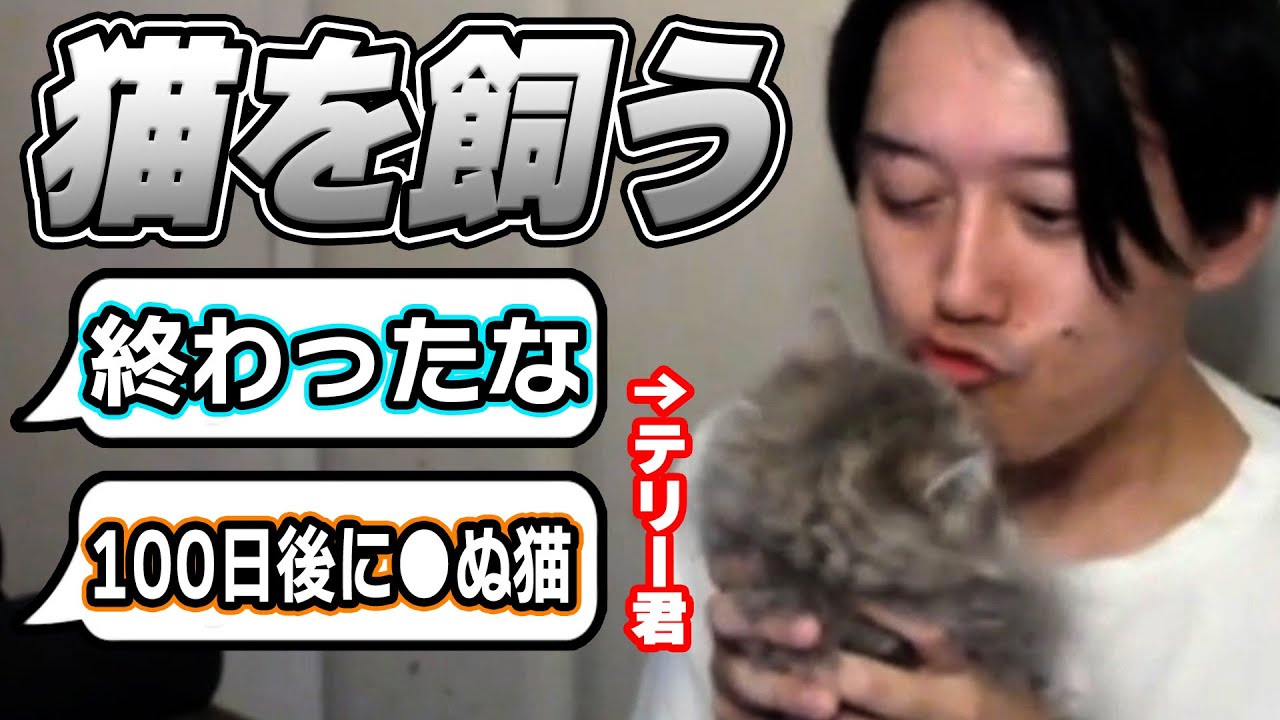 布団ちゃん、猫(テリー君)を飼う【2025/10/19】