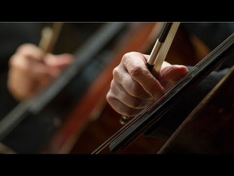 ORQUESTA ESTABLE: 100 AÑOS. BEETHOVEN, PROKOFIEV Y SCHUMANN