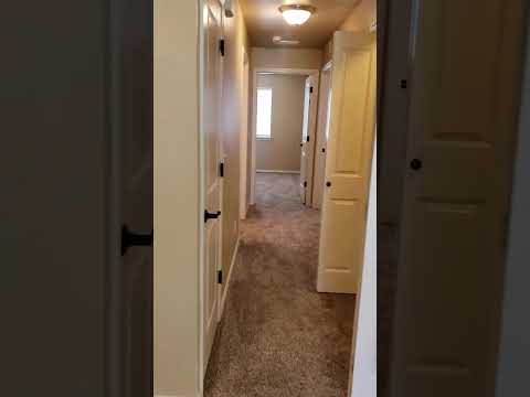 886BONSAI - Video 2 of 2