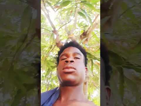 feeling d pain(BUMPY FRASS )MUSIK