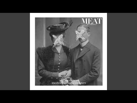 Inevitable Decision (Original Mix)