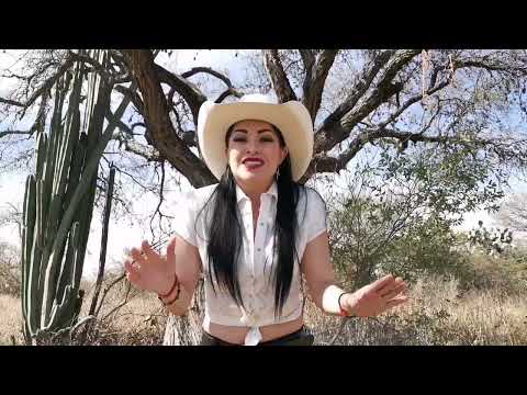 Cabalgata en Valladolid Yucatán este 12 de febrero en honor al Virgen de la Candelaria.