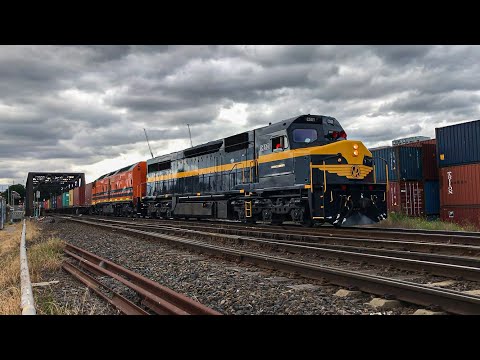 C501 and CLF2 on SCT 7922V