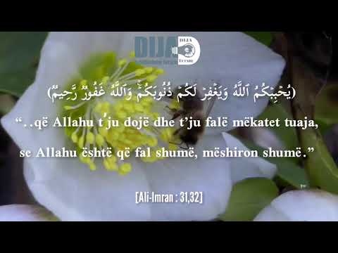 Ajete nga sureja Ali-Imran - Ahmed el Axhmi