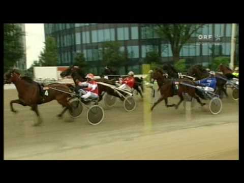 Österreichisches Traber-Derby 2010 - Das Rennen
