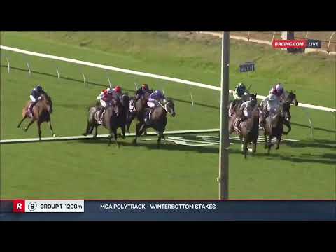 💥Libertad💥 (🇷🇺 Russian Revolution x ⚡️Electric Charge) wins the G1 Winterbottom Stakes!!🐎🏆🥇