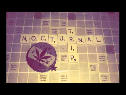 Nocturnal Trip - Lost It In Space