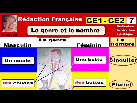 Genre, nombre et accord par l’exemple : Rédaction en français ce1 ce2 # 7