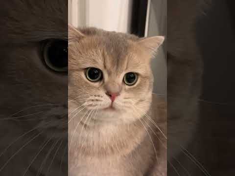 The non-stop moewing machine