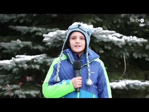 Recomandări de iarnă la munte - Cezar Cimpureanu