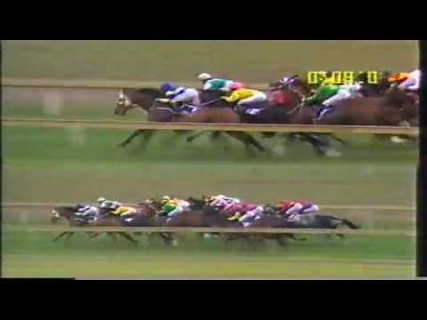 1994 VATC Sandown Quick Eze Handicap