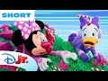 Whoa Christmas Tree Minnie S Bow Toons Pet Hotel Disneyjr