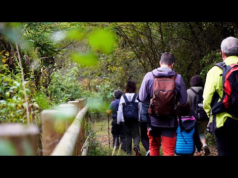 Di Lati in Lati, a piedi da Vedano Olona a Torba
