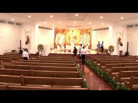 Transmissão ao vivo da Paróquia Nossa Senhora da Conceição Guarapari