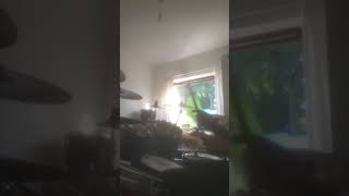 Runrig - Dance Called America - Drum Cover