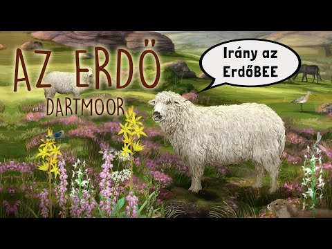 Irány az Erdőbeee | Az erdő - Dartmoor bemutató - Gémklub
