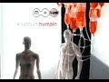 Publicité MusiquePlus ID Humain 2001
