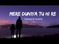 Mere Duniya Tu Hi Re Hey Baby Movie Slowed Reverb Lofi Song Alone Soul Lyrics