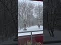 When The Snow Falls Winter 2021 Germany Shorts Winter Snowfall