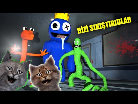 We're Trapped With Gaffur Abi 😭😭 - Orange Rainbow and Green Rainbow Got Us Stuck Rainbow Friends