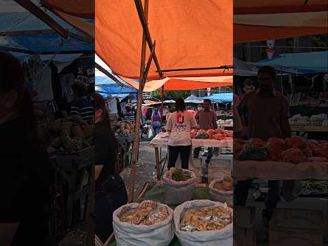 Feira livre de Macaíba RN #shorts