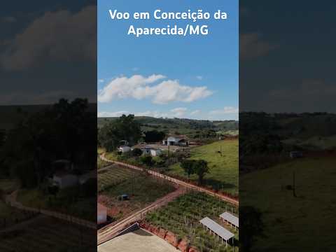 26 de julho de 2026