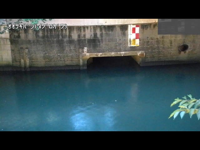 大崎橋映像監視局