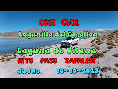 Cusi Cusi. - Lagunillas del Farallón. - Laguna de Vilama. - Hito Paso Zapaleri. Jujuy. 10-10-2025.