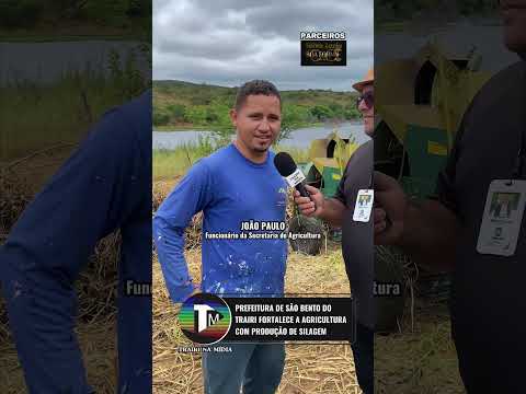 PREFEITURA DE SÃO BENTO DO TRAIRI FORTALECE A AGRICULTURA COM PRODUÇÃO DE SILAGEM