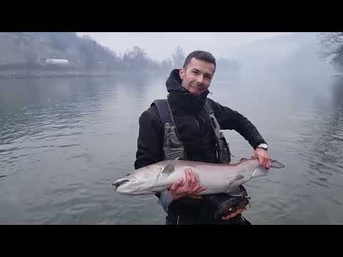 Mladica na Drini - Sezona 2021/2022