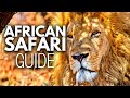 African Safari Guide Everything You Need To Know ️