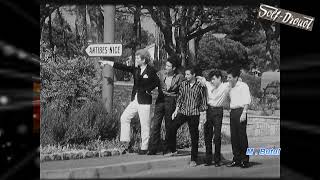 Les chaussettes noires Je t&#39;aime trop