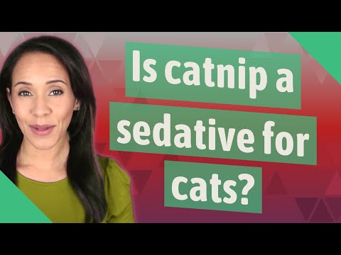 Is catnip a sedative for cats?