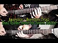 Amorphis - Warriors Trial - Dual Guitar cover