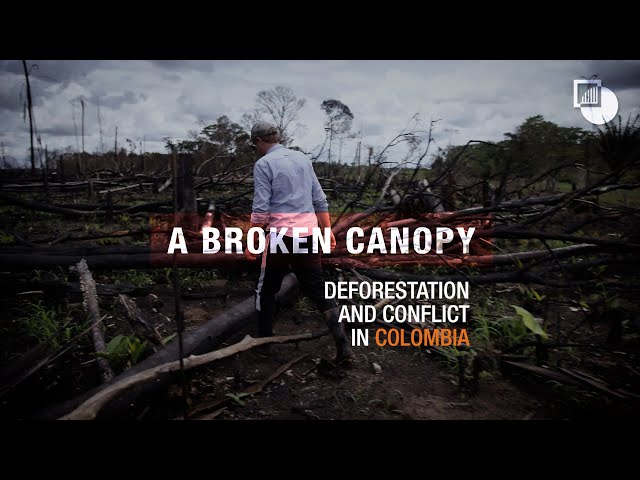 Deforestation and Conflict in Colombia