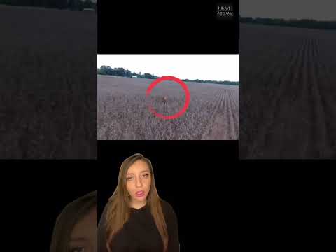 Strange Incident Caught on Drone Camera! #shorts