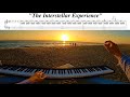 Tony Ann The Interstellar Experience