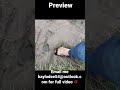 Stuck In Deep Mud In Heels Preview